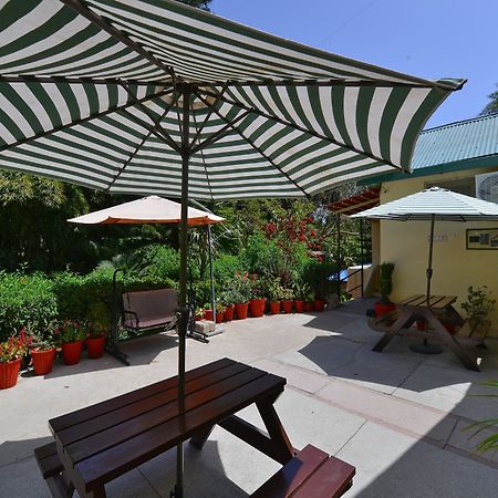 Oyo 12402 Mushkil Aasan Hotel Маунт Абу Екстериор снимка